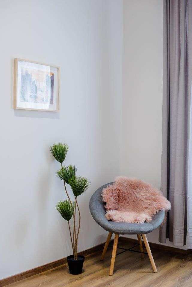 5 Bedrooms With Ac In Center * Budapest